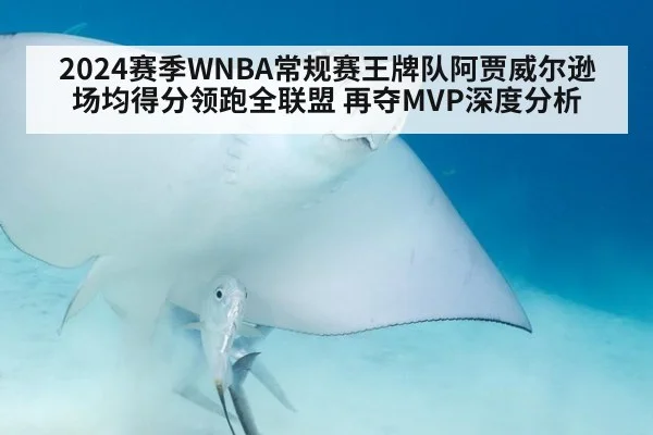 2024赛季WNBA常规赛王牌队阿贾威尔逊场均得分领跑全联盟 再夺MVP深度分析